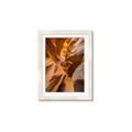 Picture of The Golden Passage _GroupedProduct_Rectangle_Portrait_Photography _GroupedProduct_Rectangle_Portrait_Framed_Matted_