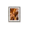 Picture of The Golden Passage _GroupedProduct_Rectangle_Portrait_Photography _GroupedProduct_Rectangle_Portrait_Framed_Matted_