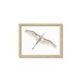 Picture of Serenade Flight _GroupedProduct_Rectangle_Landscape_Photography _GroupedProduct_Rectangle_Landscape_Framed_Matted_