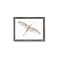 Picture of Serenade Flight _GroupedProduct_Rectangle_Landscape_Photography _GroupedProduct_Rectangle_Landscape_Framed_Matted_