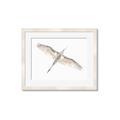 Picture of Serenade Flight _GroupedProduct_Rectangle_Landscape_Photography _GroupedProduct_Rectangle_Landscape_Framed_Matted_