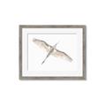 Picture of Serenade Flight _GroupedProduct_Rectangle_Landscape_Photography _GroupedProduct_Rectangle_Landscape_Framed_Matted_