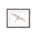 Picture of Serenade Flight _GroupedProduct_Rectangle_Landscape_Photography _GroupedProduct_Rectangle_Landscape_Framed_Matted_