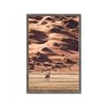 Picture of Tranquil Walk in the Valley _GroupedProduct_Rectangle_Portrait_Photography _GroupedProduct_Rectangle_Portrait_Framed_Matted_