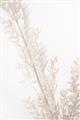 Picture of Earthy Flora Straws _GroupedProduct_Rectangle_Portrait_Photography _GroupedProduct_Rectangle_Portrait_Unframed_Print_Only_