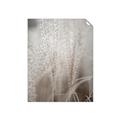 Picture of Elysian Grass _GroupedProduct_Rectangle_Portrait_Photography _GroupedProduct_Rectangle_Portrait_Unframed_Print_Only_