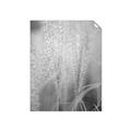 Picture of Elysian Grass _GroupedProduct_Rectangle_Portrait_Photography _GroupedProduct_Rectangle_Portrait_Unframed_Print_Only_