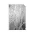 Picture of Elysian Grass _GroupedProduct_Rectangle_Portrait_Photography _GroupedProduct_Rectangle_Portrait_Unframed_Print_Only_