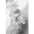 Picture of Celestial Summer Leaves _GroupedProduct_Rectangle_Portrait_Photography _GroupedProduct_Rectangle_Portrait_Unframed_Print_Only_