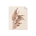Picture of Dried Eucalyptus Blossom _GroupedProduct_Rectangle_Portrait_Photography _GroupedProduct_Rectangle_Portrait_Unframed_Print_Only_