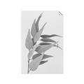 Picture of Dried Eucalyptus Blossom _GroupedProduct_Rectangle_Portrait_Photography _GroupedProduct_Rectangle_Portrait_Unframed_Print_Only_