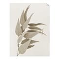 Picture of Dried Eucalyptus Blossom _GroupedProduct_Rectangle_Portrait_Photography _GroupedProduct_Rectangle_Portrait_Unframed_Print_Only_