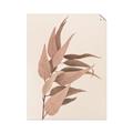 Picture of Dried Eucalyptus Blossom _GroupedProduct_Rectangle_Portrait_Photography _GroupedProduct_Rectangle_Portrait_Unframed_Print_Only_