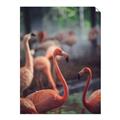 Picture of Flamingo _GroupedProduct_Rectangle_Portrait_Photography _GroupedProduct_Rectangle_Portrait_Unframed_Print_Only_