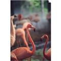 Picture of Flamingo _GroupedProduct_Rectangle_Portrait_Photography _GroupedProduct_Rectangle_Portrait_Unframed_Print_Only_