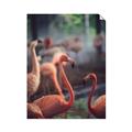 Picture of Flamingo _GroupedProduct_Rectangle_Portrait_Photography _GroupedProduct_Rectangle_Portrait_Unframed_Print_Only_