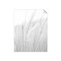 Picture of Rhapsody of Grass Blades _GroupedProduct_Rectangle_Portrait_Photography _GroupedProduct_Rectangle_Portrait_Unframed_Print_Only_