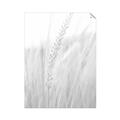 Picture of Rhapsody of Grass Blades _GroupedProduct_Rectangle_Portrait_Photography _GroupedProduct_Rectangle_Portrait_Unframed_Print_Only_