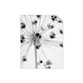 Picture of Ethereal Flower _GroupedProduct_Rectangle_Portrait_Photography _GroupedProduct_Rectangle_Portrait_Unframed_Print_Only_