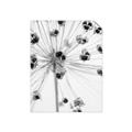 Picture of Ethereal Flower _GroupedProduct_Rectangle_Portrait_Photography _GroupedProduct_Rectangle_Portrait_Unframed_Print_Only_