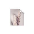 Picture of Enchanted Pampas Grass _GroupedProduct_Rectangle_Portrait_Photography _GroupedProduct_Rectangle_Portrait_Unframed_Print_Only_