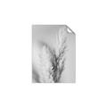 Picture of Enchanted Pampas Grass _GroupedProduct_Rectangle_Portrait_Photography _GroupedProduct_Rectangle_Portrait_Unframed_Print_Only_