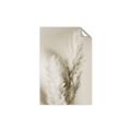 Picture of Enchanted Pampas Grass _GroupedProduct_Rectangle_Portrait_Photography _GroupedProduct_Rectangle_Portrait_Unframed_Print_Only_