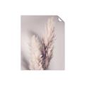 Picture of Enchanted Pampas Grass _GroupedProduct_Rectangle_Portrait_Photography _GroupedProduct_Rectangle_Portrait_Unframed_Print_Only_