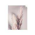 Picture of Enchanted Pampas Grass _GroupedProduct_Rectangle_Portrait_Photography _GroupedProduct_Rectangle_Portrait_Unframed_Print_Only_