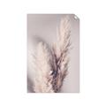 Picture of Enchanted Pampas Grass _GroupedProduct_Rectangle_Portrait_Photography _GroupedProduct_Rectangle_Portrait_Unframed_Print_Only_