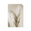 Picture of Enchanted Pampas Grass _GroupedProduct_Rectangle_Portrait_Photography _GroupedProduct_Rectangle_Portrait_Unframed_Print_Only_