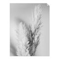 Picture of Enchanted Pampas Grass _GroupedProduct_Rectangle_Portrait_Photography _GroupedProduct_Rectangle_Portrait_Unframed_Print_Only_
