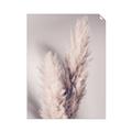 Picture of Enchanted Pampas Grass _GroupedProduct_Rectangle_Portrait_Photography _GroupedProduct_Rectangle_Portrait_Unframed_Print_Only_