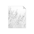 Picture of Grass straws _GroupedProduct_Rectangle_Portrait_Photography _GroupedProduct_Rectangle_Portrait_Unframed_Print_Only_