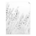Picture of Grass straws _GroupedProduct_Rectangle_Portrait_Photography _GroupedProduct_Rectangle_Portrait_Unframed_Print_Only_