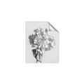 Picture of Lullaby of a Beige Flower _GroupedProduct_Rectangle_Portrait_Photography _GroupedProduct_Rectangle_Portrait_Unframed_Print_Only_