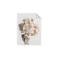 Picture of Lullaby of a Beige Flower _GroupedProduct_Rectangle_Portrait_Photography _GroupedProduct_Rectangle_Portrait_Unframed_Print_Only_