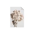 Picture of Lullaby of a Beige Flower _GroupedProduct_Rectangle_Portrait_Photography _GroupedProduct_Rectangle_Portrait_Unframed_Print_Only_