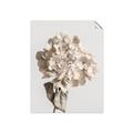 Picture of Lullaby of a Beige Flower _GroupedProduct_Rectangle_Portrait_Photography _GroupedProduct_Rectangle_Portrait_Unframed_Print_Only_
