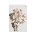 Picture of Lullaby of a Beige Flower _GroupedProduct_Rectangle_Portrait_Photography _GroupedProduct_Rectangle_Portrait_Unframed_Print_Only_