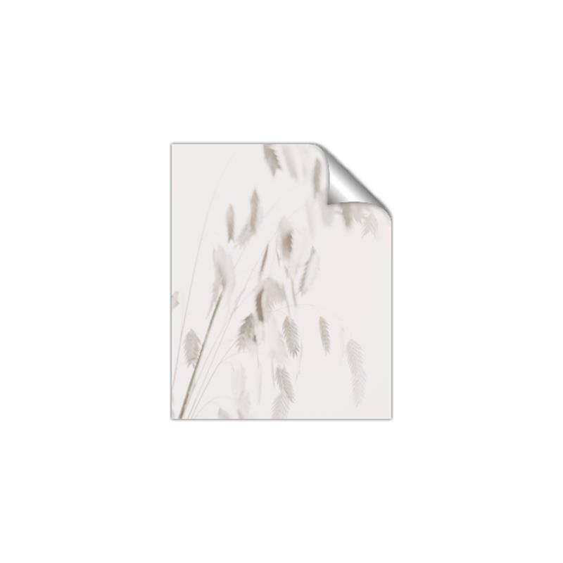 Picture of Ballet of Floral Shadows _GroupedProduct_Rectangle_Portrait_Photography _GroupedProduct_Rectangle_Portrait_Unframed_Print_Only_