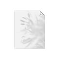 Picture of An Echo of Leaves _GroupedProduct_Rectangle_Portrait_Photography _GroupedProduct_Rectangle_Portrait_Unframed_Print_Only_