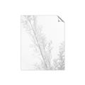 Picture of Earthy Flora Straws _GroupedProduct_Rectangle_Portrait_Photography _GroupedProduct_Rectangle_Portrait_Unframed_Print_Only_