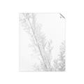 Picture of Earthy Flora Straws _GroupedProduct_Rectangle_Portrait_Photography _GroupedProduct_Rectangle_Portrait_Unframed_Print_Only_