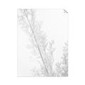 Picture of Earthy Flora Straws _GroupedProduct_Rectangle_Portrait_Photography _GroupedProduct_Rectangle_Portrait_Unframed_Print_Only_