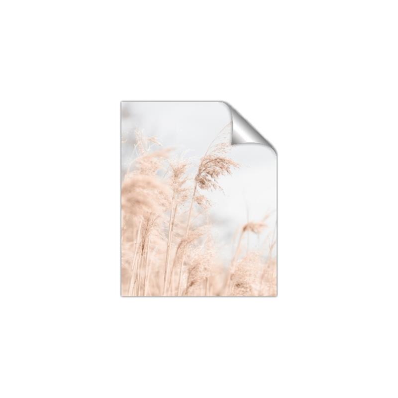 Picture of Neutral Bloom Reeds _GroupedProduct_Rectangle_Portrait_Photography _GroupedProduct_Rectangle_Portrait_Unframed_Print_Only_