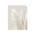 Picture of Creamy Petal Pampas I _GroupedProduct_Rectangle_Portrait_Photography _GroupedProduct_Rectangle_Portrait_Unframed_Print_Only_