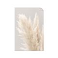Picture of Creamy Petal Pampas I _GroupedProduct_Rectangle_Portrait_Photography _GroupedProduct_Rectangle_Portrait_Unframed_Print_Only_