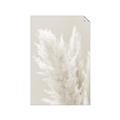 Picture of Creamy Petal Pampas I _GroupedProduct_Rectangle_Portrait_Photography _GroupedProduct_Rectangle_Portrait_Unframed_Print_Only_
