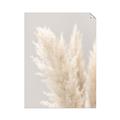 Picture of Creamy Petal Pampas I _GroupedProduct_Rectangle_Portrait_Photography _GroupedProduct_Rectangle_Portrait_Unframed_Print_Only_